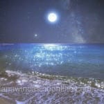 Avatar de Rocío Coronado